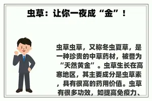 虫草：让你一夜成“金”！