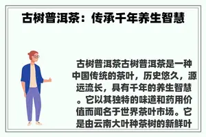 古树普洱茶：传承千年养生智慧