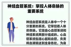 神经血管系统：掌控人体命脉的重要系统