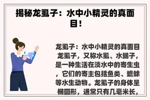 揭秘龙虱子：水中小精灵的真面目！
