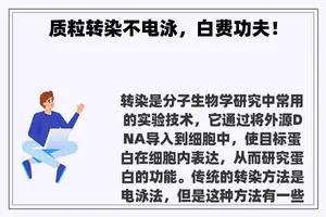 质粒转染不电泳，白费功夫！
