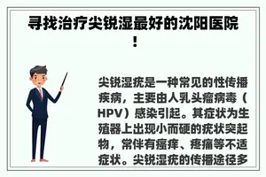 寻找治疗尖锐湿最好的沈阳医院！