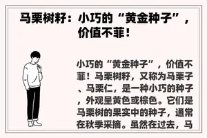 马栗树籽：小巧的“黄金种子”，价值不菲！