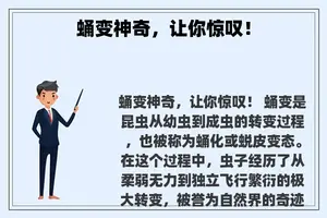 蛹变神奇，让你惊叹！