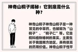 神奇山桐子揭秘：它到底是什么种？