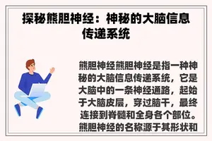 探秘熊胆神经：神秘的大脑信息传递系统