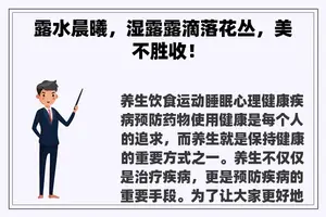 露水晨曦，湿露露滴落花丛，美不胜收！