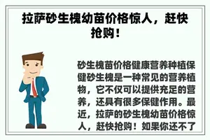 **砂生槐幼苗价格惊人，赶快抢购！