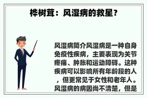 桦树茸：风湿病的救星？