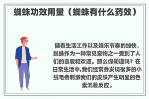 蜘蛛功效用量（蜘蛛有什么药效）