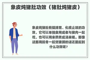 象皮炖猪肚功效（猪肚炖猪皮）