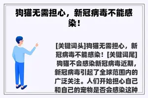 狗猫无需担心，新冠病毒不能感染！