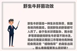野生牛肝菌功效