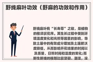 野线麻叶功效（野麻的功效和作用）