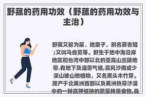 野菰的药用功效（野菰的药用功效与主治）