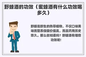 野蜂酒的功效（蜜蜂酒有什么功效喝多久）