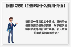 银柳 功效（银柳有什么药用价值）