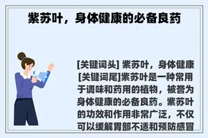 紫苏叶，身体健康的必备良药