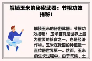 解锁玉米的秘密武器：节根功效揭秘！
