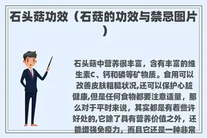 石头菇功效（石菇的功效与禁忌图片）