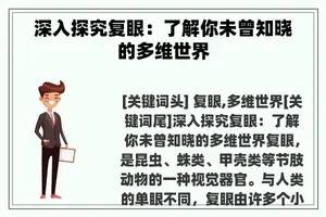 深入探究复眼：了解你未曾知晓的多维世界