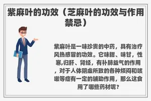 紫麻叶的功效（芝麻叶的功效与作用禁忌）