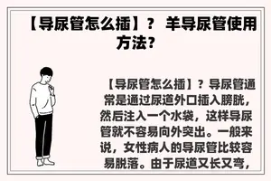 【导尿管怎么插】？ 羊导尿管使用方法？