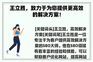 王立胜，致力于为您提供更高效的解决方案！