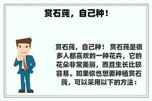 赏石莼，自己种！