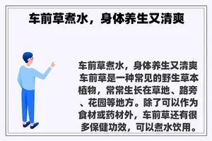 车前草煮水，身体养生又清爽