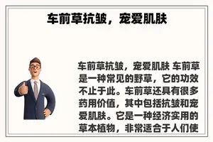 车前草抗皱，宠爱肌肤