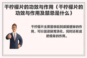 干柠檬片的功效与作用（干柠檬片的功效与作用及禁忌是什么）