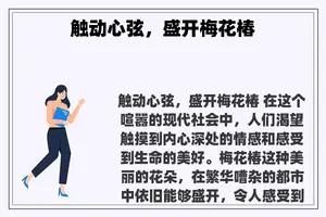 触动心弦，盛开梅花椿