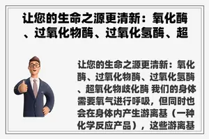 让您的生命之源更清新：氧化酶、过氧化物酶、过氧化氢酶、超氧化物歧化酶