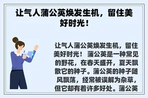 让气人蒲公英焕发生机，留住美好时光！