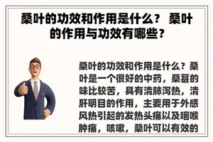 桑叶的功效和作用是什么？ 桑叶的作用与功效有哪些？