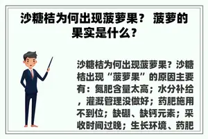 沙糖桔为何出现菠萝果？ 菠萝的果实是什么？