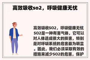 高效吸收so2，呼吸健康无忧