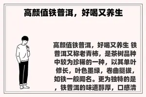 高颜值铁普洱，好喝又养生