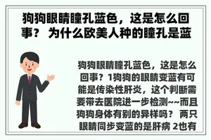 狗狗眼睛瞳孔蓝色,这是怎么回事? 为什么欧美人种的瞳孔是蓝色的? 狗狗眼睛瞳孔蓝色,这是怎么回事? 为什么欧美人种的瞳孔是蓝色的?