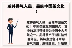 龙井香气入鼻，品味中国茶文化！