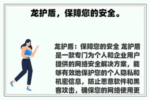 龙护盾，保障您的安全。