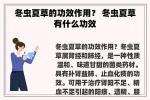 冬虫夏草的功效作用？ 冬虫夏草有什么功效