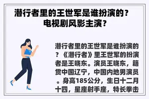 潜行者里的王世军是谁扮演的？ 电视剧风影主演？
