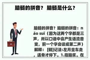 脑髓的拼音？ 脑髓是什么？