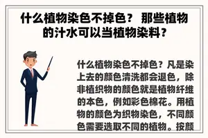 什么植物染色不掉色？ 那些植物的汁水可以当植物染料？
