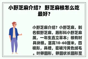 小野芝麻介绍？ 野芝麻根怎么吃最好？
