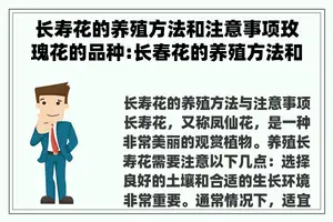长寿花的养殖方法和注意事项玫瑰花的品种:长春花的养殖方法和注意事项