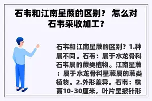 石韦和江南星蕨的区别？ 怎么对石韦采收加工？