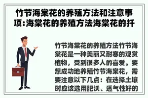 竹节海棠花的养殖方法和注意事项:海棠花的养殖方法海棠花的扦插方法